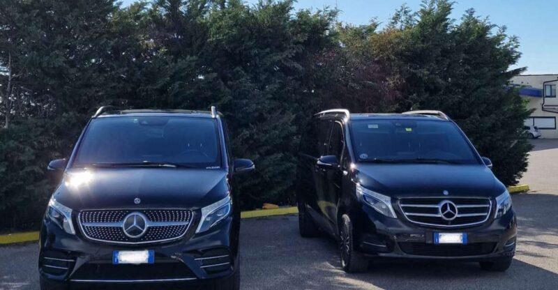 Bologna: Private Transfer to Ravenna Cruise Port - Key Points