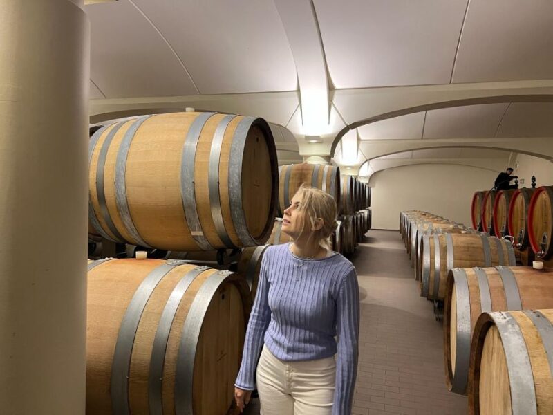 Bologna Vineyard Vista: a Journey Through Emilian Wines - Key Points