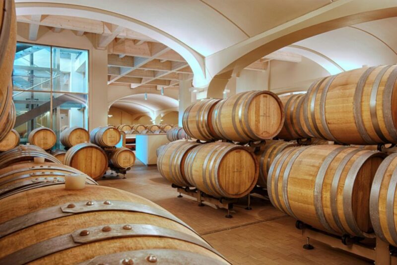 Bologna Vineyard Vista: a Journey Through Emilian Wines - Classic Tasting Experience