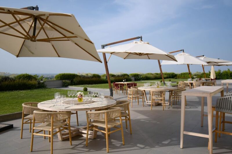 Bologna Vineyard Vista: a Journey Through Emilian Wines - Booking and Cancellation Policies