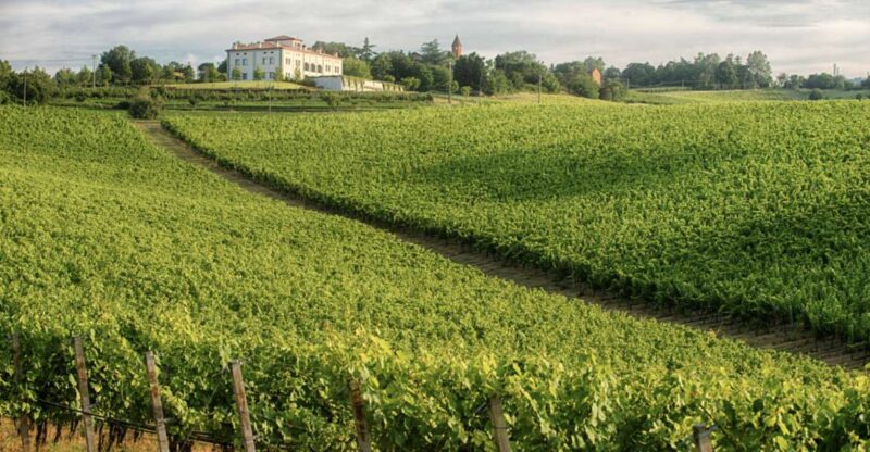 Bologna Vineyard Vista: a Journey Through Emilian Wines - Accessibility and Languages