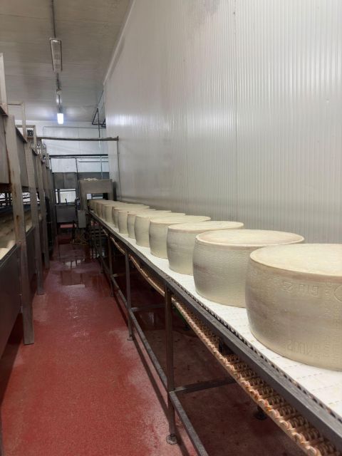 Bologna:Ferrari, Parmigiano, Balsamic Day Trip W/Light Lunch - Important Information for Participants