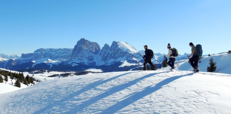 Bolzano Dolomites: Winter Hiking & Sledding Experience - Transport and Pickup