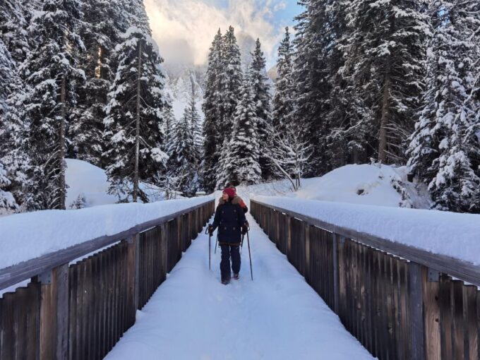 Bolzano Dolomites: Winter Hiking & Sledding Experience - Booking and Cancellation