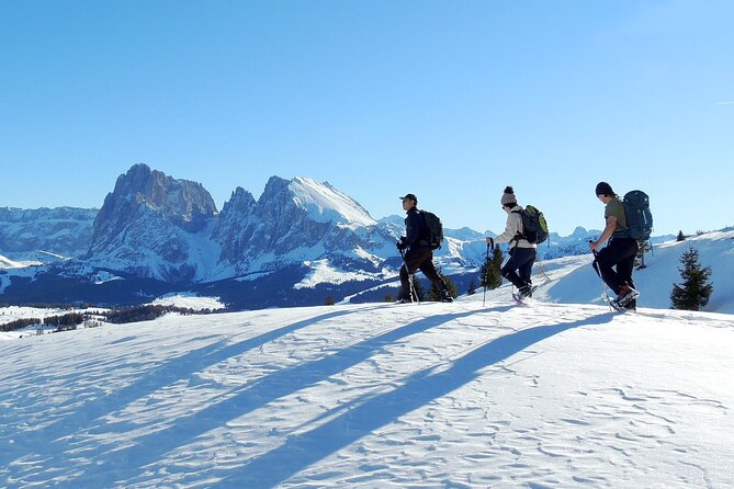 Bolzano Dolomites: Winter Hiking & Sledding Experience - Transportation Options