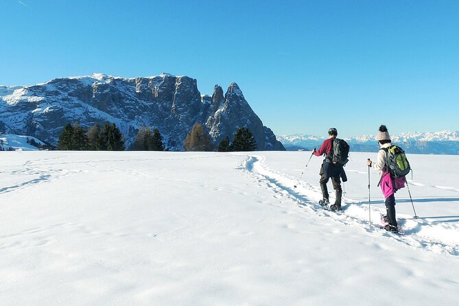 Bolzano Dolomites: Winter Hiking & Sledding Experience - Customer Reviews
