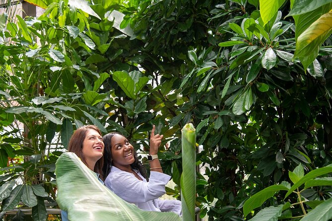 Bombay Sapphire Gin Distillery Tour and Cocktail - Meeting Point and Transportation