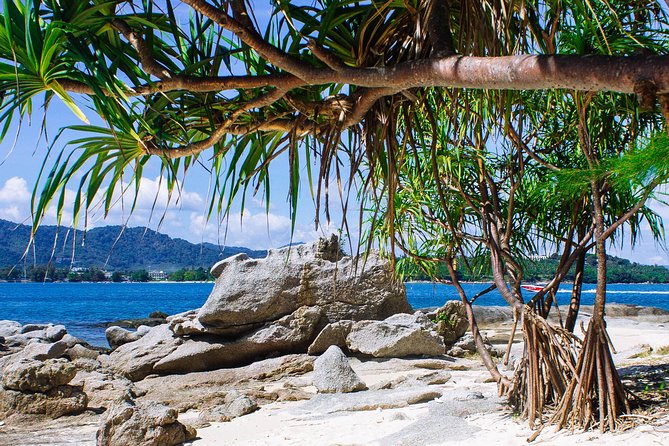 Bon Island Tour by Longtail Boat With Lunch - Swimming and Snorkeling