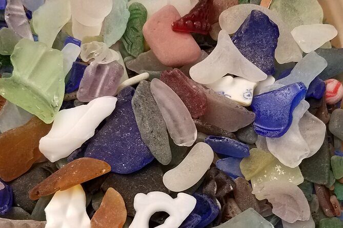 Bonaire Beachcombing and Sea Glass Private Tour - Why It’s a Great Value