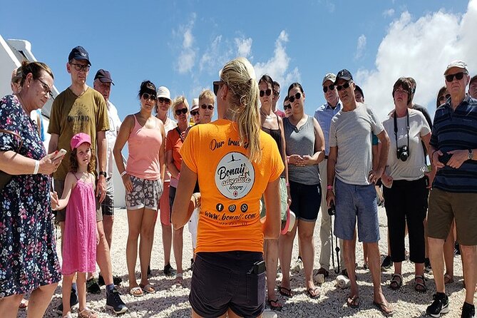 Bonaire Essentials Island Tour - Pickup and Meeting Information