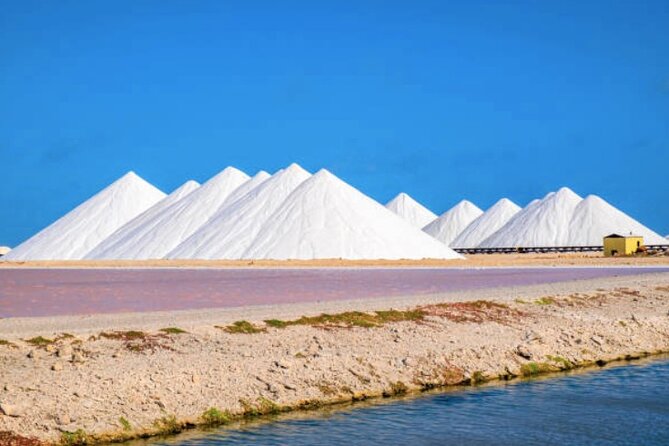 Bonaire Shore Excursion: Scenic Bonaire and Coco Beach Small Group Tour - Exploring Bonaires History