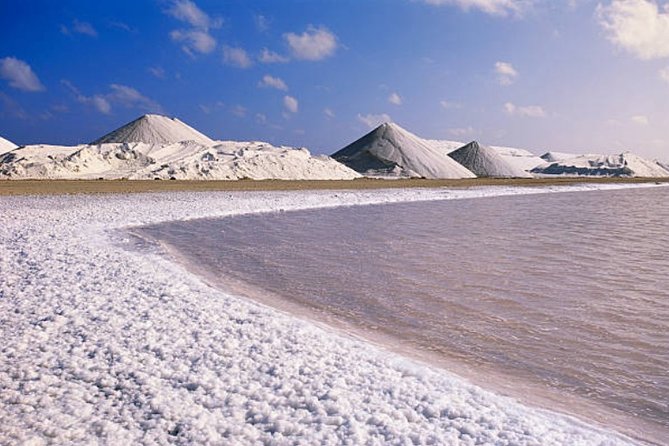 Bonaire Shore Excursion: Scenic Bonaire and Coco Beach Small Group Tour - Inclusions and Pickup Information
