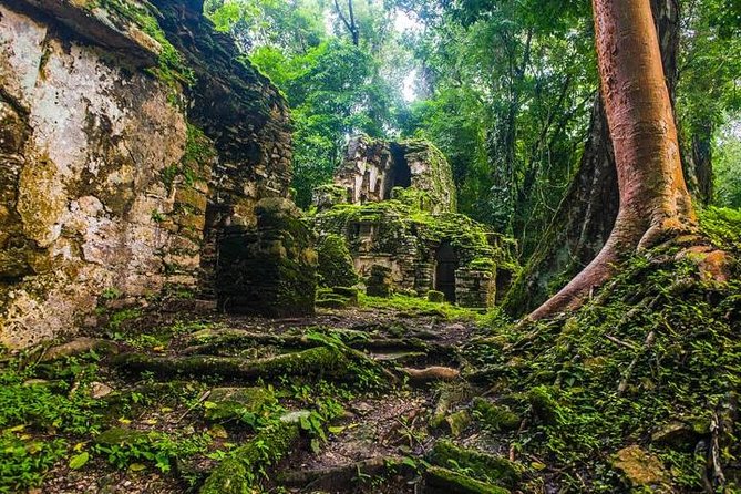 Bonampak & Yaxchilan: Hidden Maya Ruins in the Chiapas Jungle - Alternative Site Recommendations