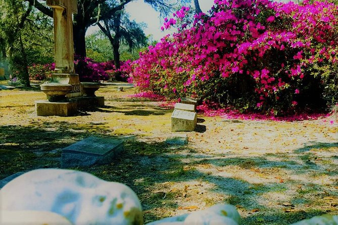 Bonaventure Cemetery Is Forever Tour - Popular Tour Guides