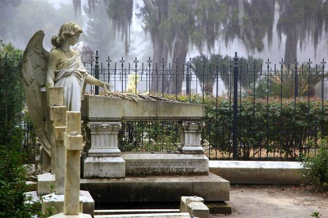 Bonaventure Cemetery Private Day Tour With Shannon Scott - Shannon Scotts Expertise and Insights
