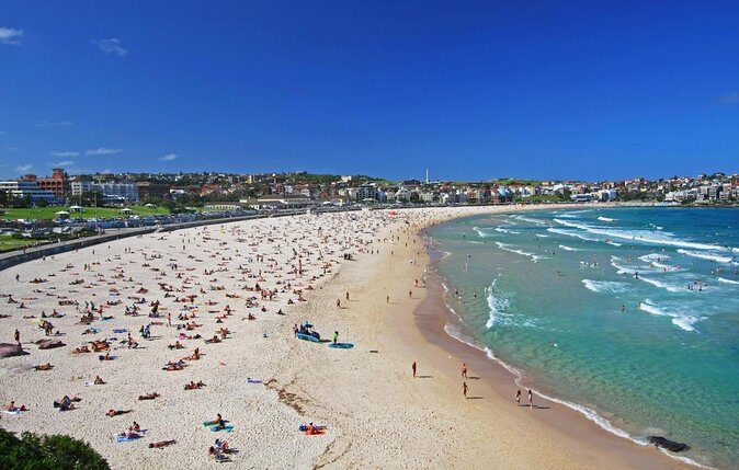 Bondi Beach and Eastern Suburbs Private Tour - About Your Stay