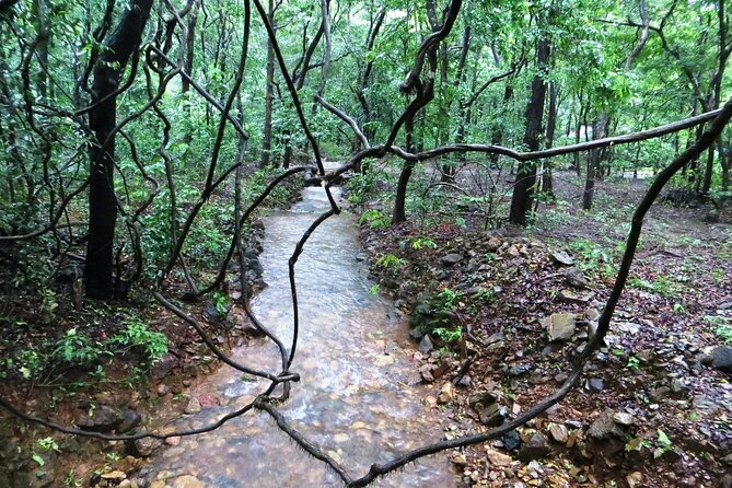 Bondla Wildlife Sanctuary With Lunch in Spice Plantation in Goa - Immersive Tour Experience