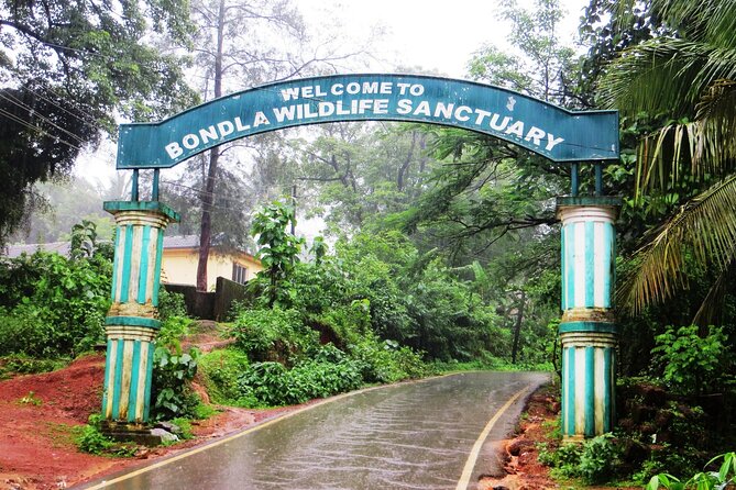 Bondla Wildlife Sanctuary With Lunch in Spice Plantation in Goa - Optimal Visitation Times