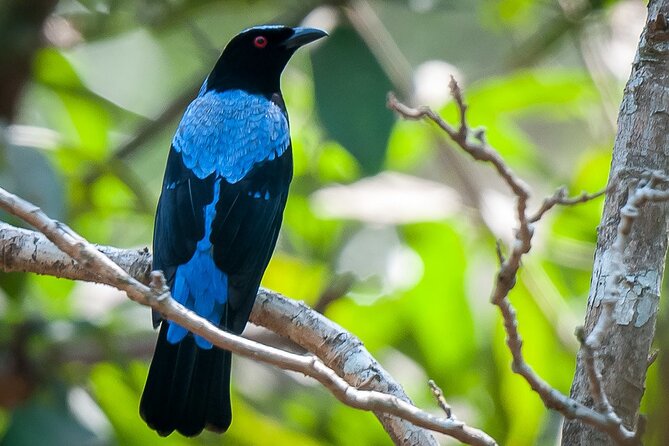 Bondla Wildlife Sanctuary With Lunch in Spice Plantation in Goa - Tailored Tour Experiences