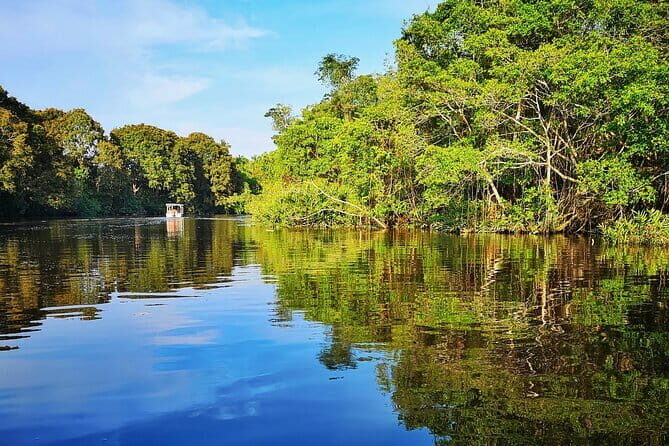 Bongawan River Cruise Proboscis Monkey, SkyMirror, Fireflies - The Sum Up: Who Will Love This Tour?