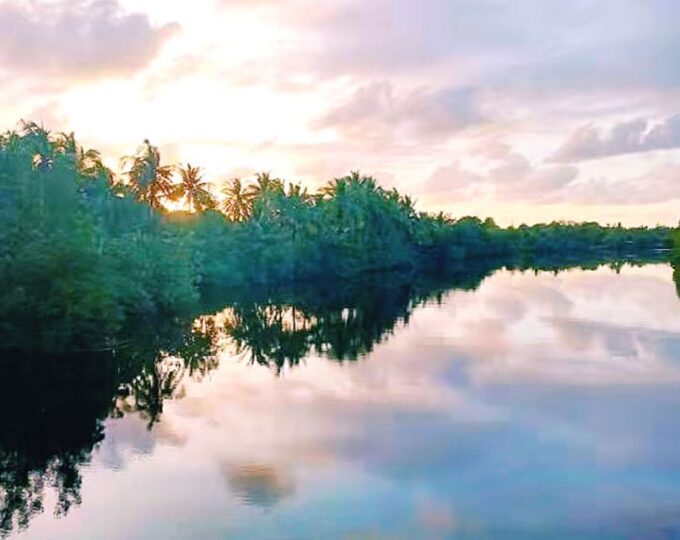 Bongawan Wetland: Proboscis Monkey and Fireflies Shared Tour - Tour Duration and Cancellation