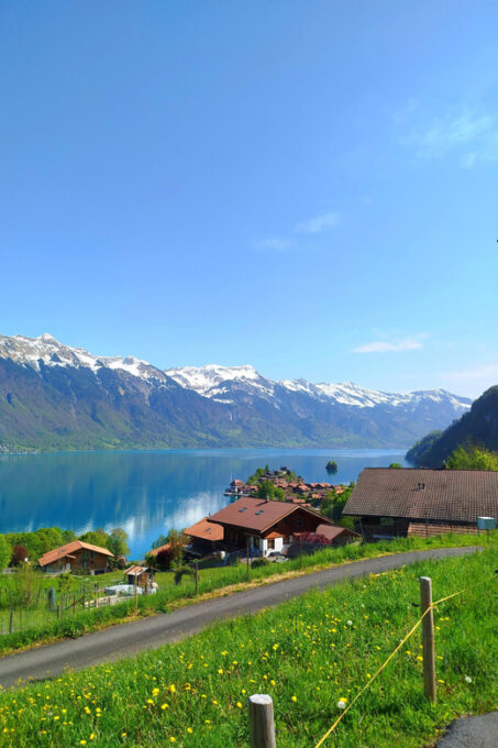 Bönigen: Lakeside Trail and Giessbach Waterfalls Hike - Return Journey