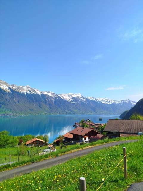 Bönigen: Lakeside Trail and Giessbach Waterfalls Hike - What to Bring