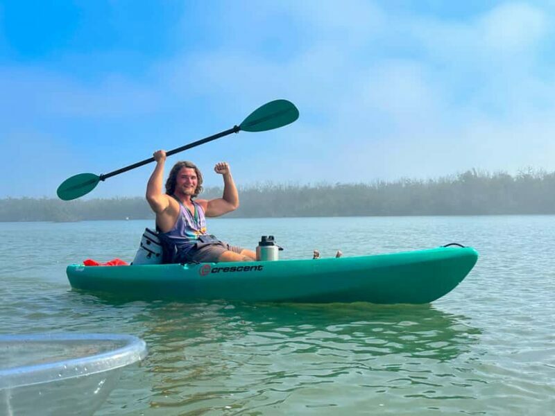 Bonita Springs Clear Kayak Tour with Dolphins & Manatees - The Route and Its Highlights
