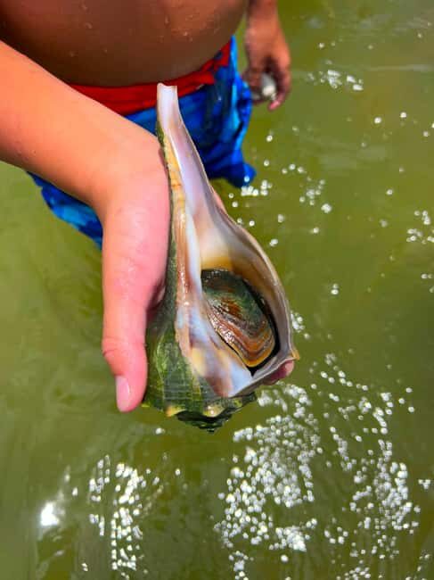 Bonita Springs Clear Kayak Tour with Dolphins & Manatees - Practical Tips for Participants
