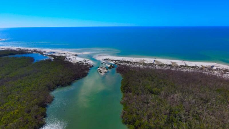Bonita Springs Clear Kayak Tour with Dolphins & Manatees - Final Thoughts: Who Should Sign Up?