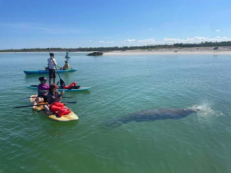 Bonita Springs Dolphin, Manatee & Sea Turtle Adventure Tour! - FAQ
