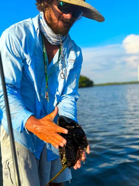 Bonita Springs: Kayak Tour with Manatees, Dolphins Sightings - Why the Equipment Matters