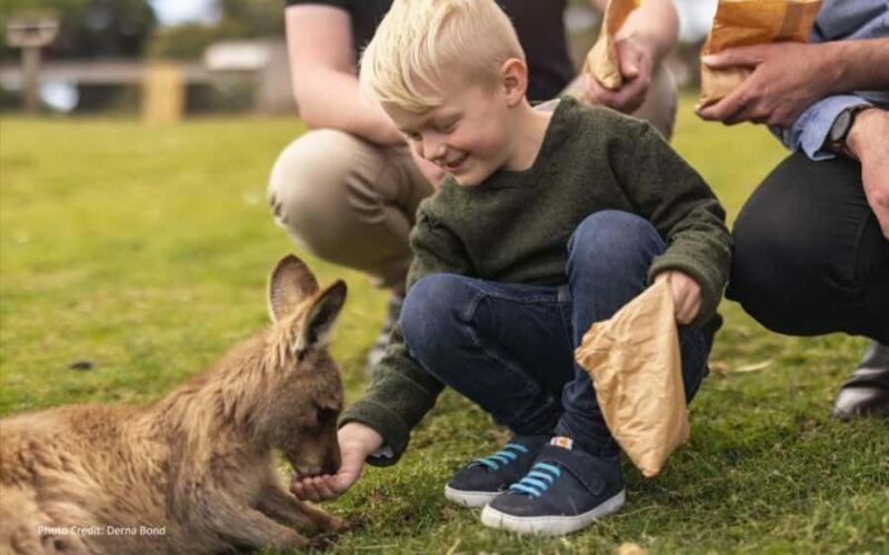 Bonorong & Richmond: Shore Excursion (Private Tour) - A Tour Designed for Curiosity and Ease