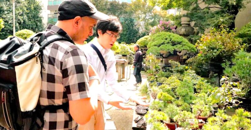 Bonsai City: Bonsai Tour & Experience at Bonsai Sanctuary - Key Points