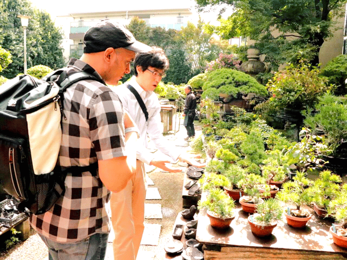 Bonsai City: Bonsai Tour & Experience at Bonsai Sanctuary - Bonsai Tour Experience