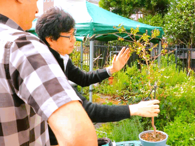 Bonsai City: Bonsai Tour & Experience at Bonsai Sanctuary - Inclusion Details