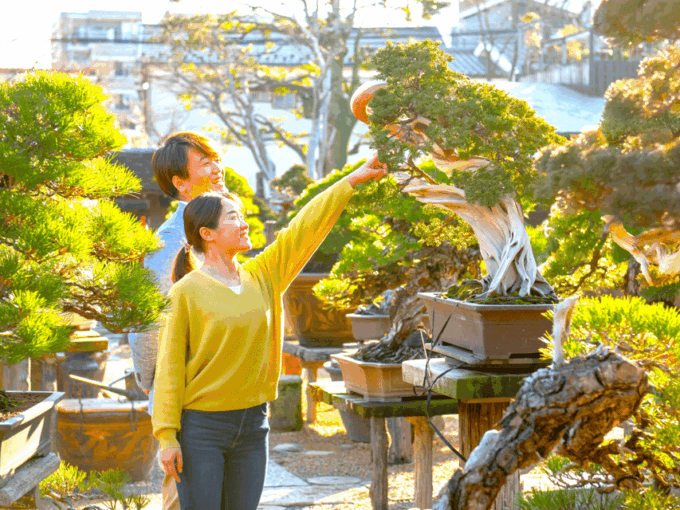 Bonsai City: Bonsai Tour & Experience at Bonsai Sanctuary - Important Considerations