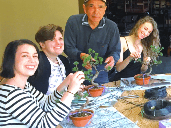 Bonsai City: Bonsai Tour & Experience at Bonsai Sanctuary - Getting to Bonsai Sanctuary