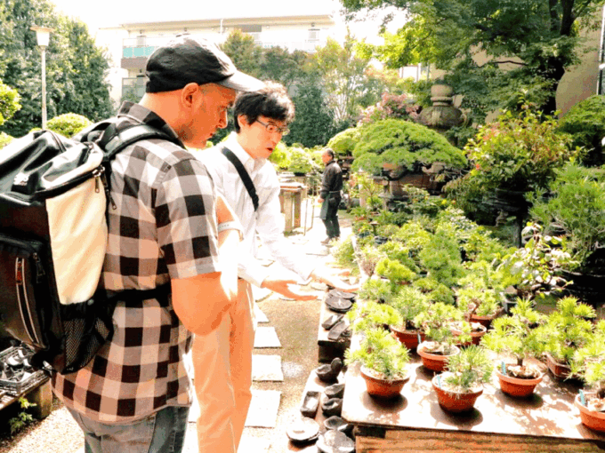 Bonsai City: Bonsai Tour & Experience at Bonsai Sanctuary - Frequently Asked Questions