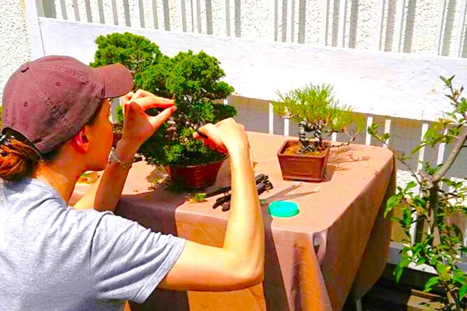 Bonsai Tour & Experience at the Most Sacred City for Bonsai in JP - A Visit to Bonsai Gardens