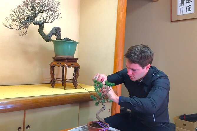Bonsai Tour & Experience at the Most Sacred City for Bonsai in JP - Inclusions, Costs, and Accessibility