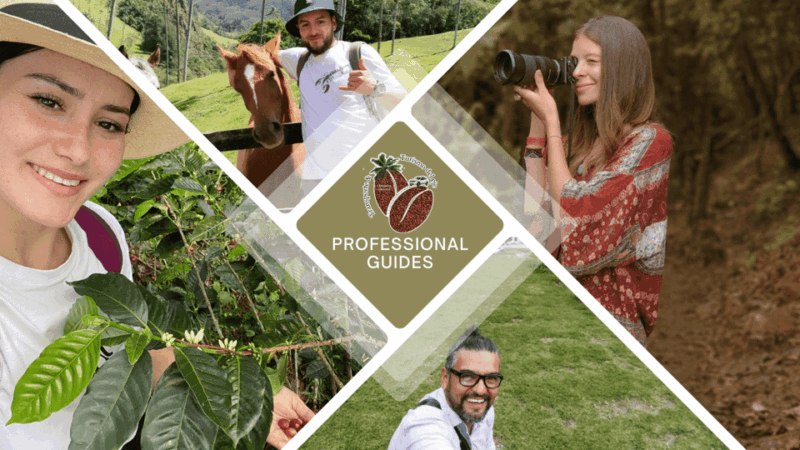 Book a Private Tourist Guide Through the Coffee Region - Tour Highlights