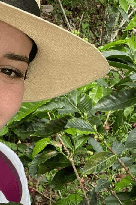 Book a Private Tourist Guide Through the Coffee Region - Reservation Validity