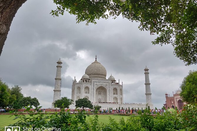 Book Govt Approved Guide for Taj Mahal & Agra Fort - What to Expect on the Tour