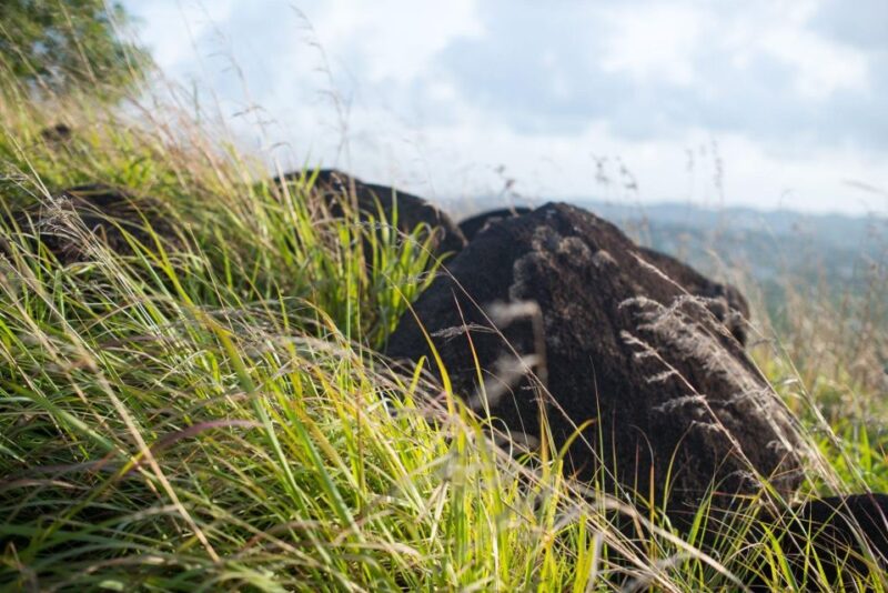Book the Stonehenge, Greencastle Hill Hike at Sunrise/Sunset - Important Information