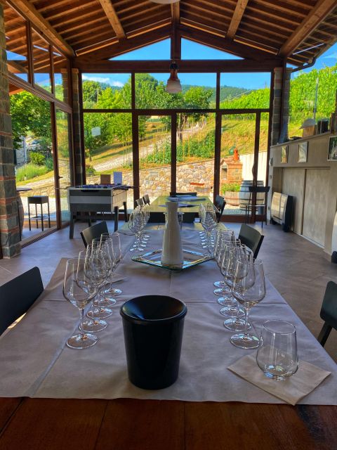 BOOK YOUR PRIVATE WINE OR BEER AMAZING EXPERIENCE IN LUCCA - Lucca: A Renowned Wine and Beer Destination
