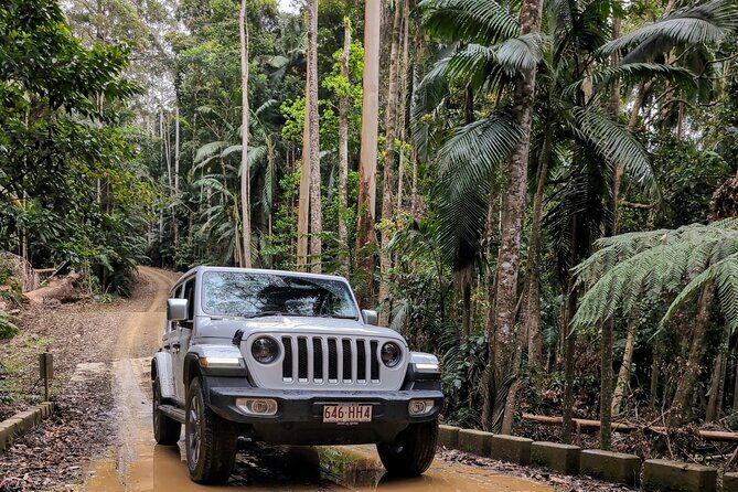 Booloumba Falls & Booloumba Creek Adventure, Conondale Nat. Park - Who Will Love This Tour?