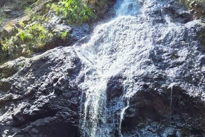 Booloumba Falls & Booloumba Creek Adventure, Conondale Nat. Park - In The Sum Up