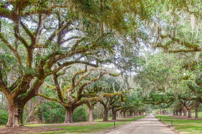 Boone Hall Plantation All-Access Admission Ticket - Getting There