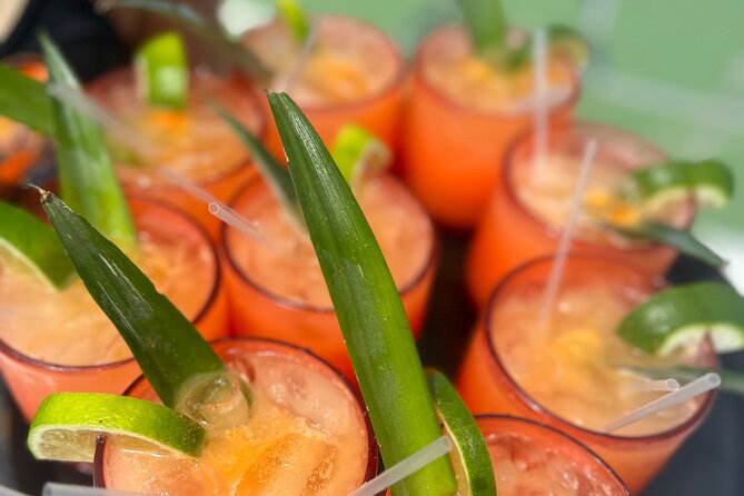 Booze Cruise and Party Boat Tour in Punta Cana ***** - Overview and Details